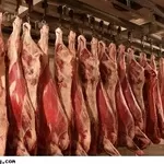 Продается мясо говядина и конина