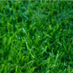 Травосмесь для рекультивации