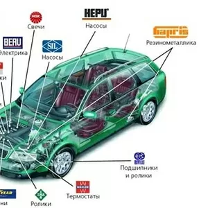 Автозапчасти в наличие и под заказ