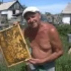 Продам мед оптом из экологически чистого района