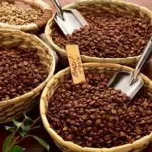 Элитный Итальянский кофе,  ищем партнеров по Казахстану