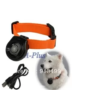 Мини видеокамера для собаки или кошки