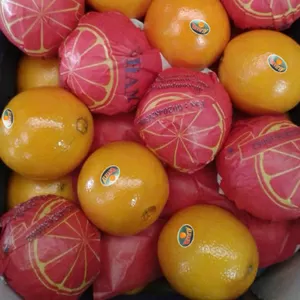 Апельсины оптом прямые поставки из Египта.