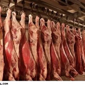 Продается мясо говядина и конина