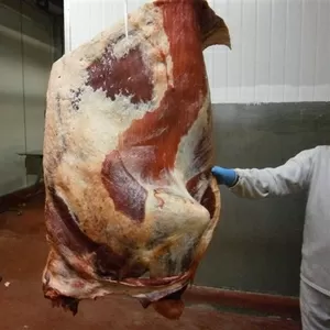 Мясо говядина свинина производство Китай