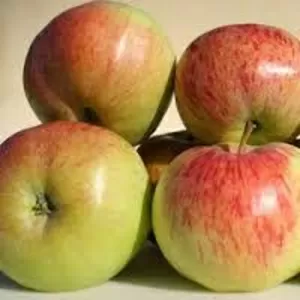 яблоки,  персики,  сливы