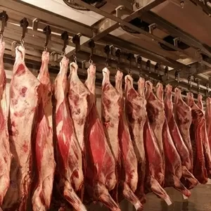 АКЦИЯ!!!свежее мясо говядины первой категории 930тг оптом в Астане