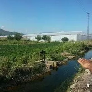 Продам земельный участок в Турции,  Алания. 100 м до моря