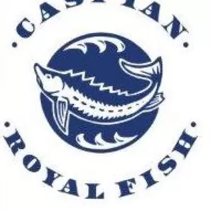 Осетровая ферма ТОО «Caspian Royal Fish» реализует Осетра и Стерлядь