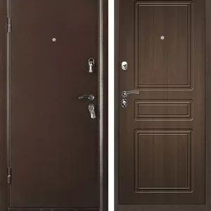 Металлическая дверь ПРАКТИК  РАЦИОНАЛИСТ