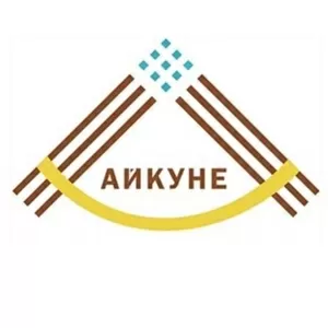 Сеть Айкуне-центров Абая Баймагамбетова