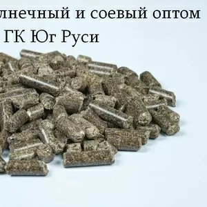 Шрот подсолнечный и соевый оптом в Казахстане - ГК Юг Руси