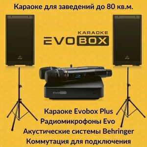 Караоке-система для дома EVOBOX и микрофоны