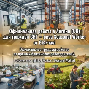 У НАС ЕСТЬ РАБОТА С ВИЗОЙ В АНГЛИИ!