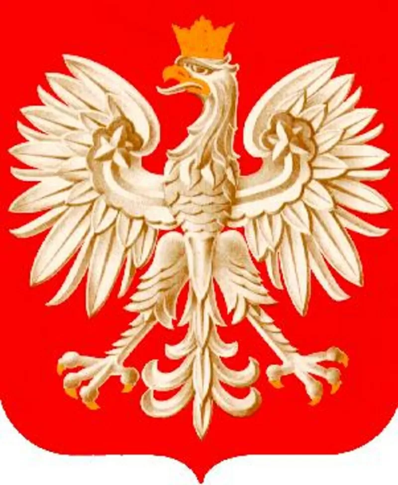 Польский язык онлайн  2