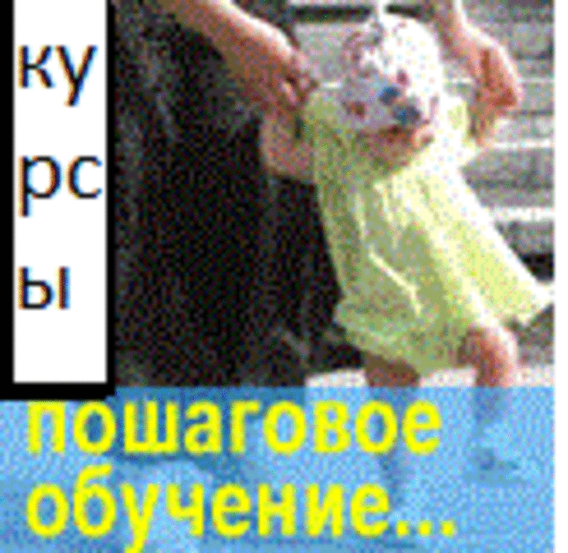 Собственный сайт своими руками