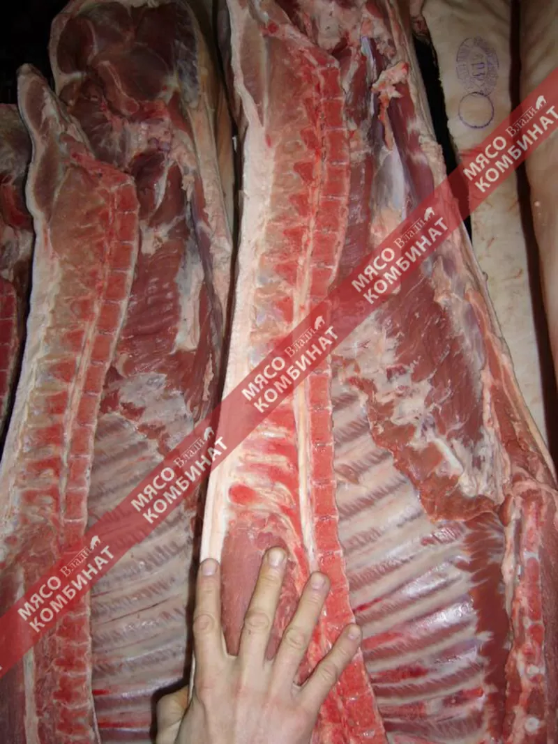 Мясо свинины от производителя!!!