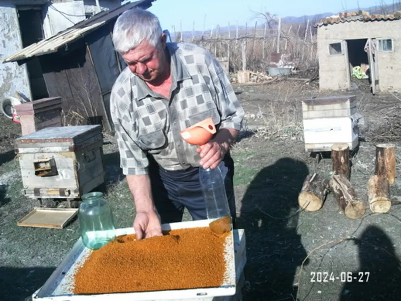 Продам мед оптом из экологически чистого района 4
