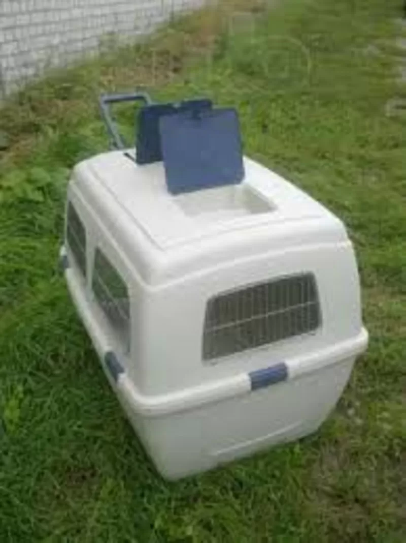 Продам контейнер для перевозки собак
