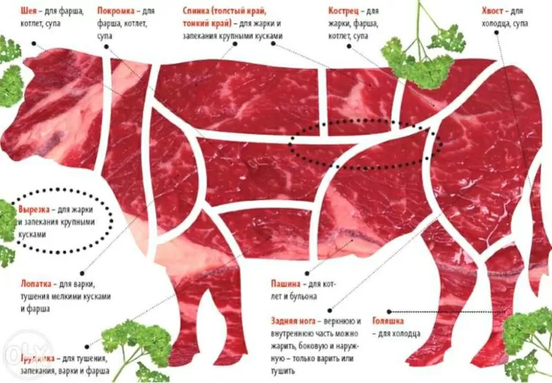 Доставка мясо Астана