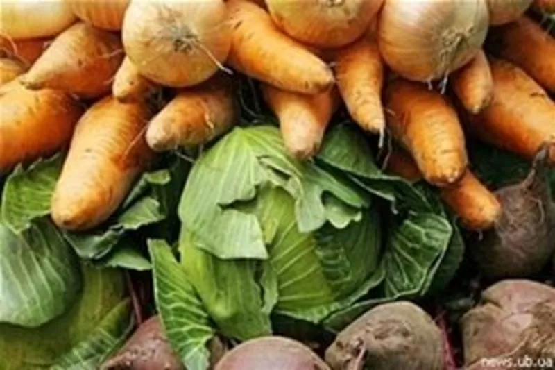 Картофель,  лук,  морковь,  капусту продам оптом со склада