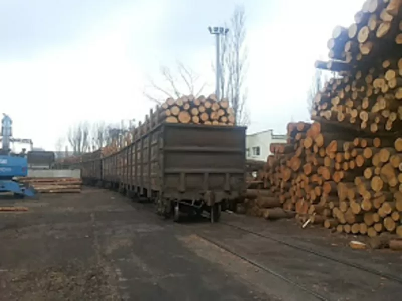 Предлагает к продаже лес - кругляк из России регионов Сибири 3