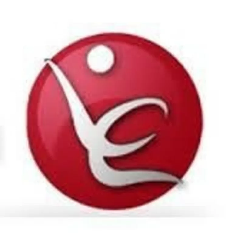 Lagrange Education,  Корпоративный Английский