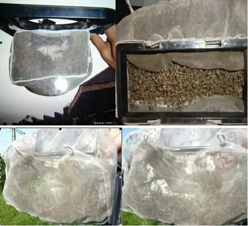 Уничтожитель комаров Mosquito Trap ANS-06  4