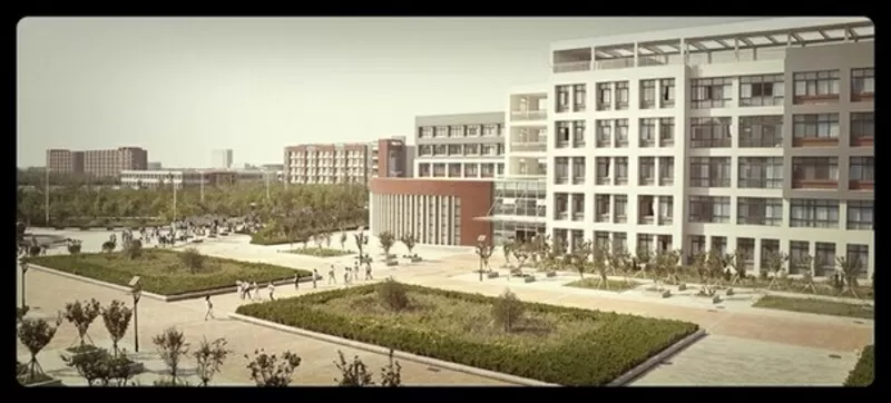 Образование и работа в Китае 2