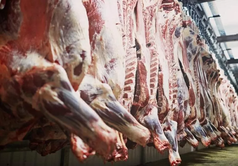 Реализуем мясопродукты из Беларуси: говядину ; свинину; субпродукты; колбасные изделия 