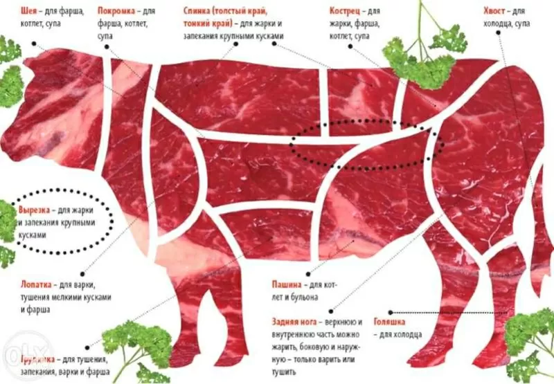Мясо говядина (ляжки)