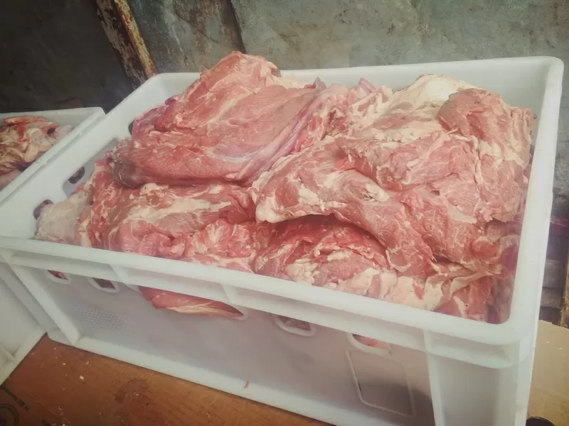 Мясо говядина - вырезки мякоть