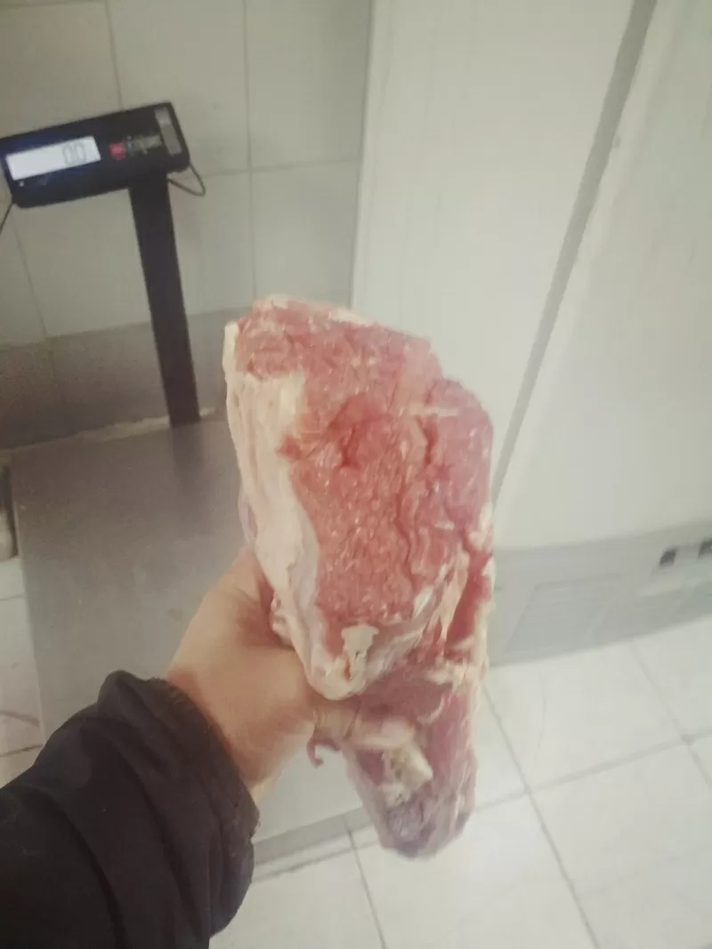 Мясо говядина - вырезки мякоть 4