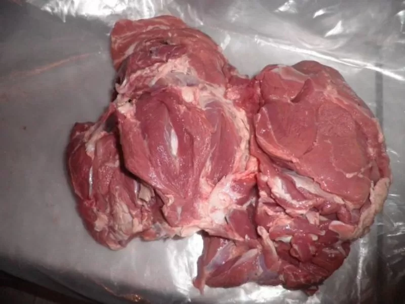 Мясо говядина - вырезки мякоть 3