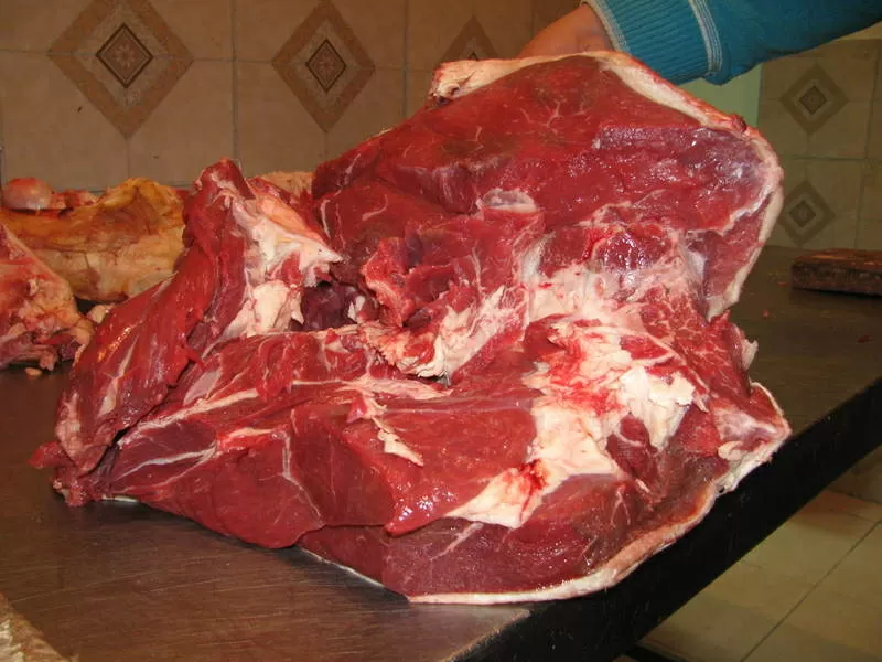 Мясо говядина - вырезки мякоть 2