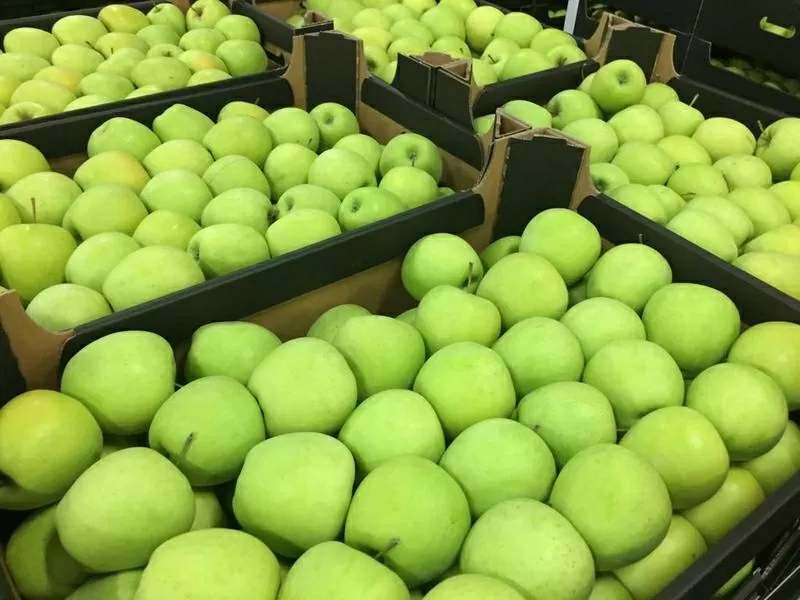 Яблоки от польского производителя 3