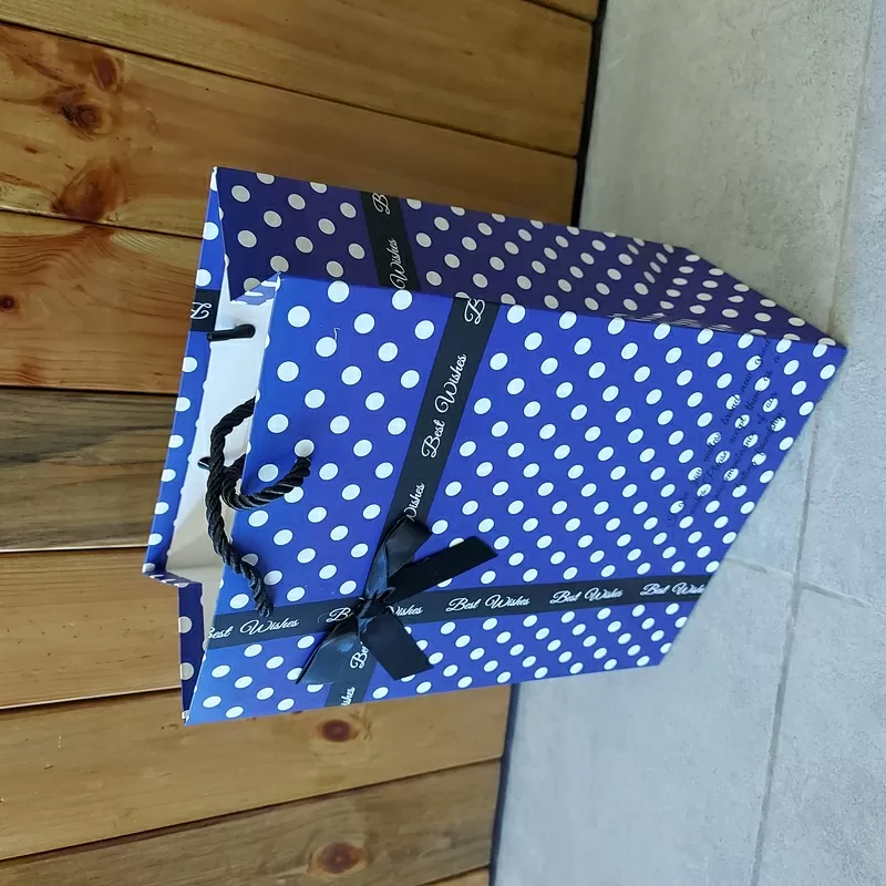 Подарочные картонные пакеты. Пакет. 18x23x10 см. Упаковка для подарка. 6