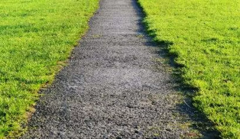 Травосмесь для укрепления откосов