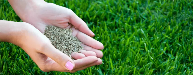 Травосмесь для рекультивации