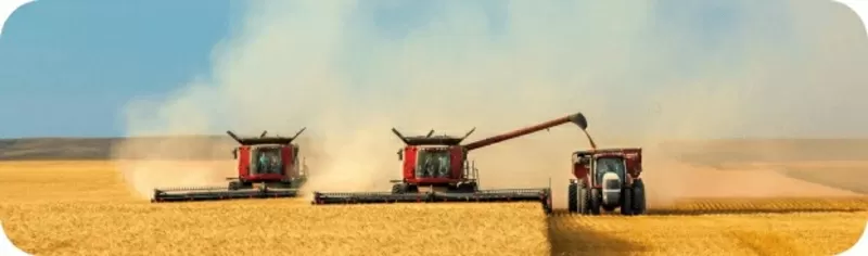 Подсолнечное и соевое масло оптом в Казахстане - ТМ Золотая Семечка 2