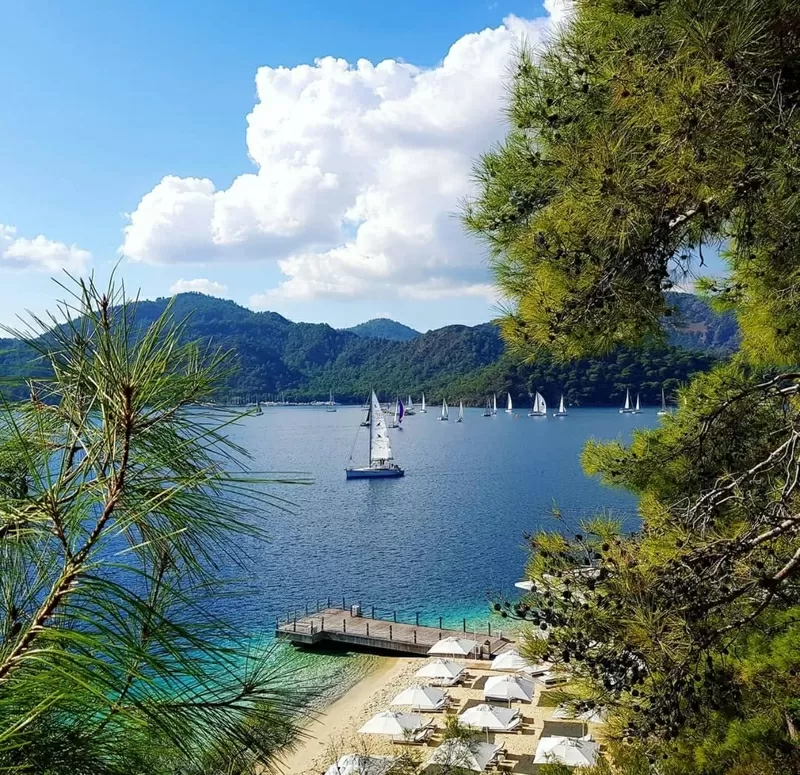 ADL Invest: недвижимость в Турции — быстро,  надёжно,  под ключ