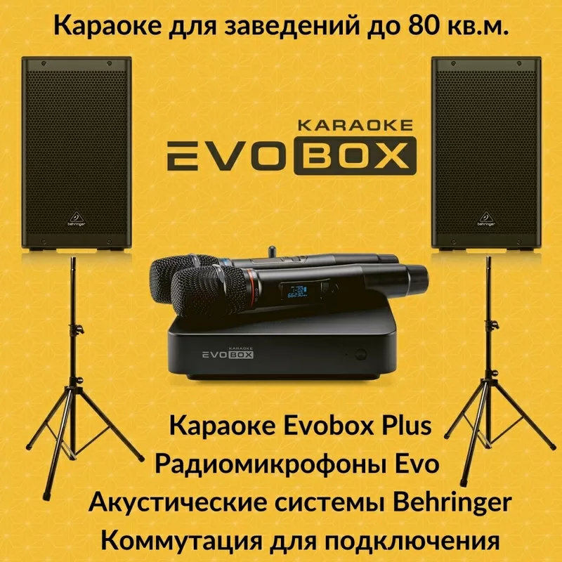 Караоке-система для дома EVOBOX и микрофоны